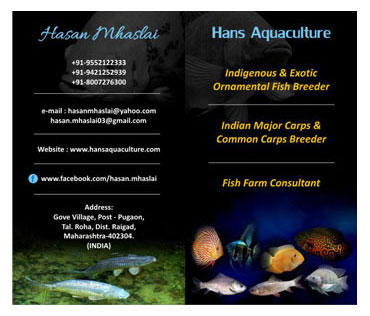 Aquaculture Visiting Card Sample / Portfolio
