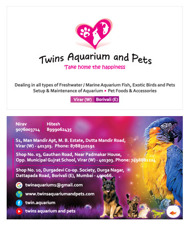 Pet Visiting Card Sample / Portfolio