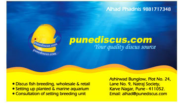 Pet Shop Visiting Card Sample / Portfolio