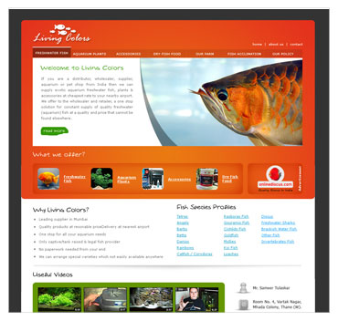 Fish pet website sample