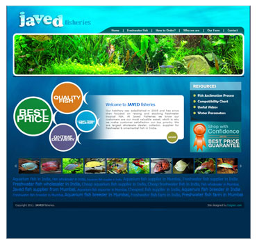 Fish pet website sample