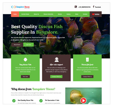 Fish pet website sample